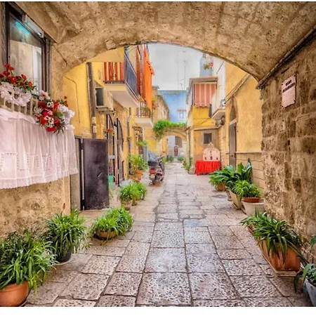 게스트하우스 Dimora Pietranima